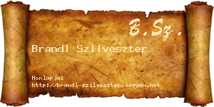Brandl Szilveszter névjegykártya
